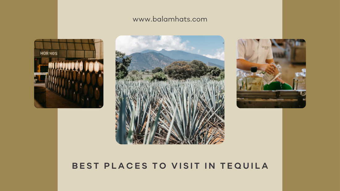 Tequila Jalisco - Best Places to Visit